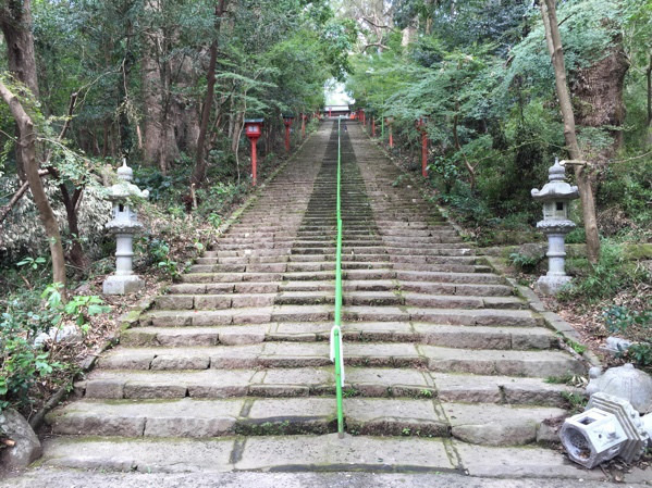 鹿児島パワースポット　新田神社
